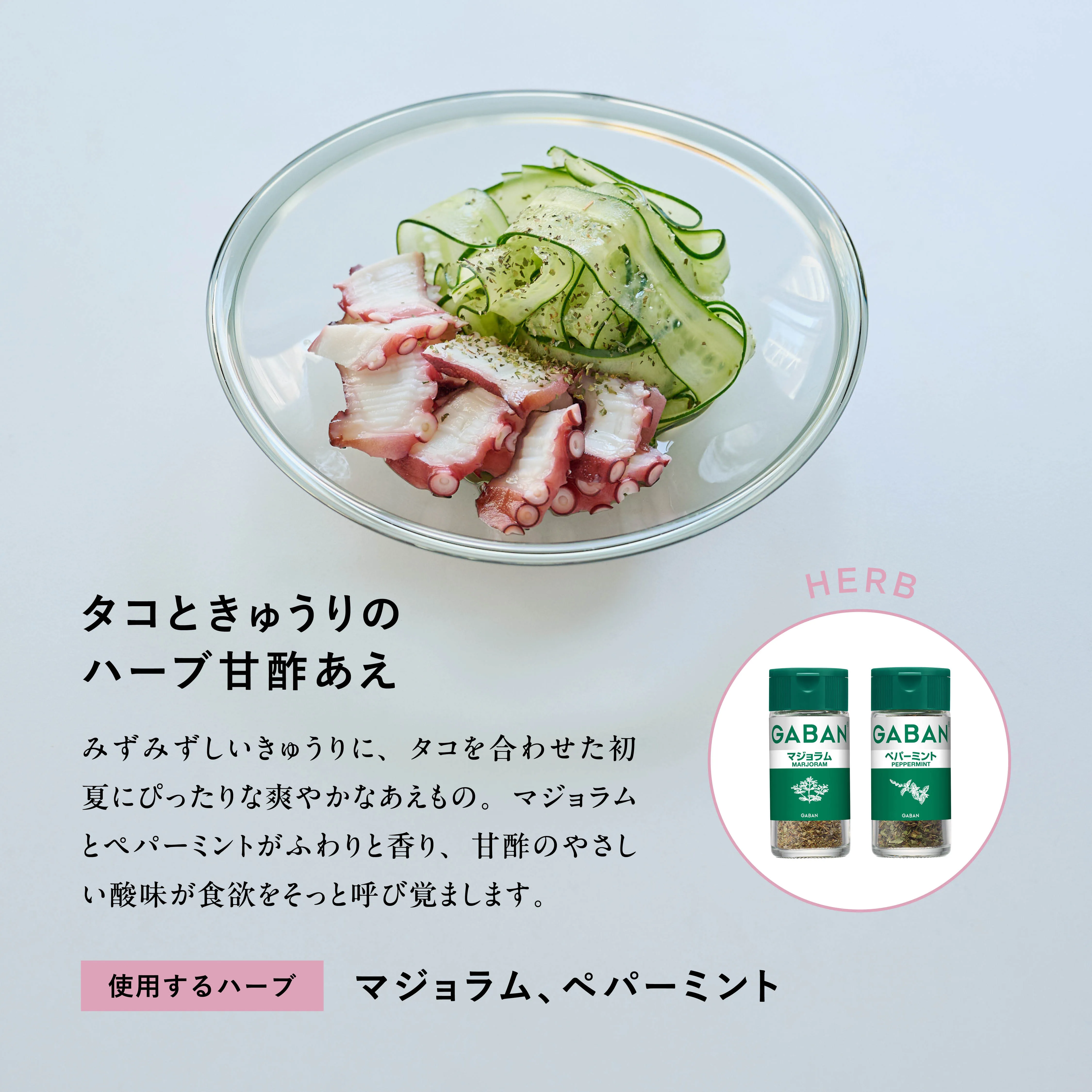 スパイス副菜 VOL.14 メインビジュアル