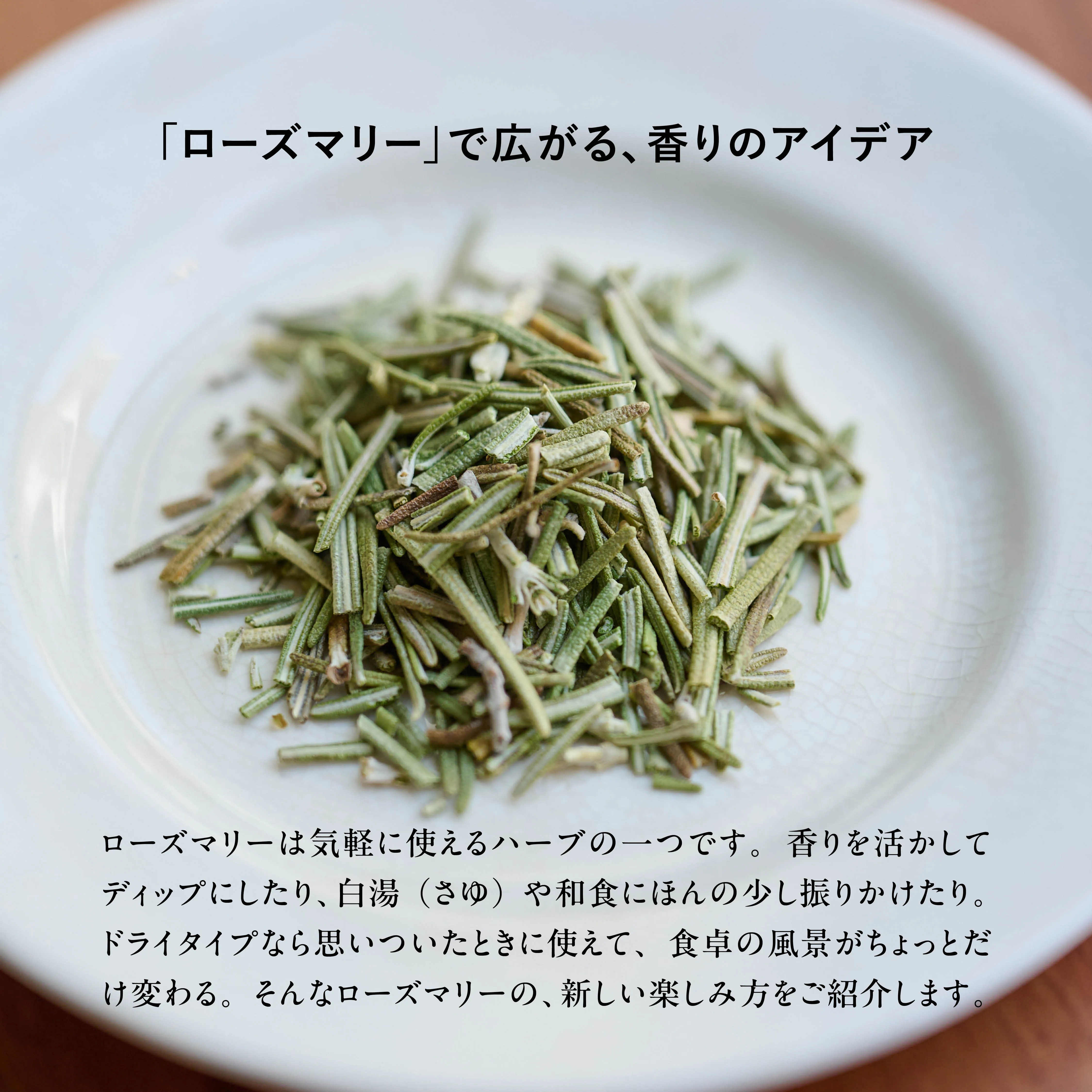 スパイスお悩み相談室 VOL.13 メインビジュアル