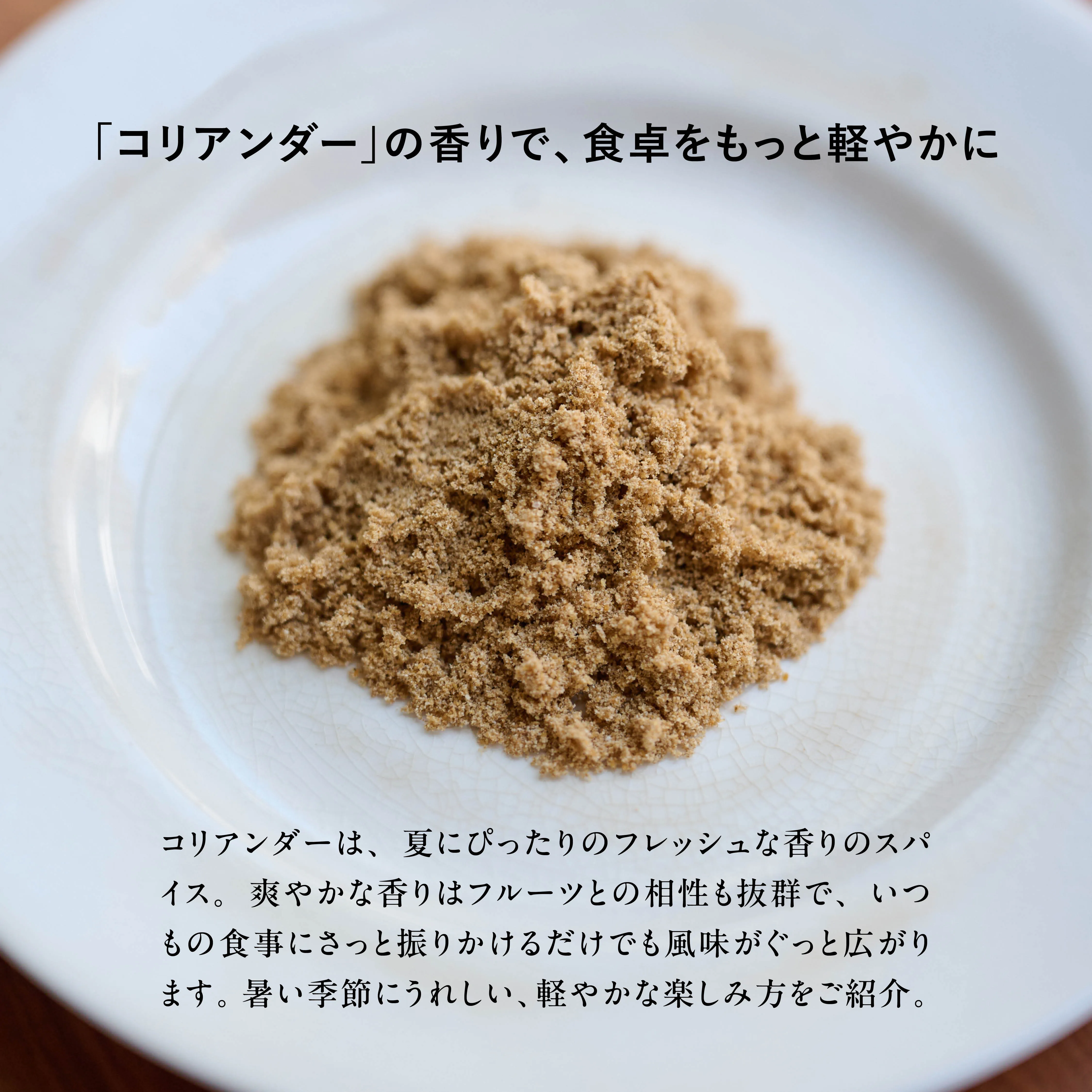 スパイスお悩み相談室 VOL.14 コリアンダー紹介