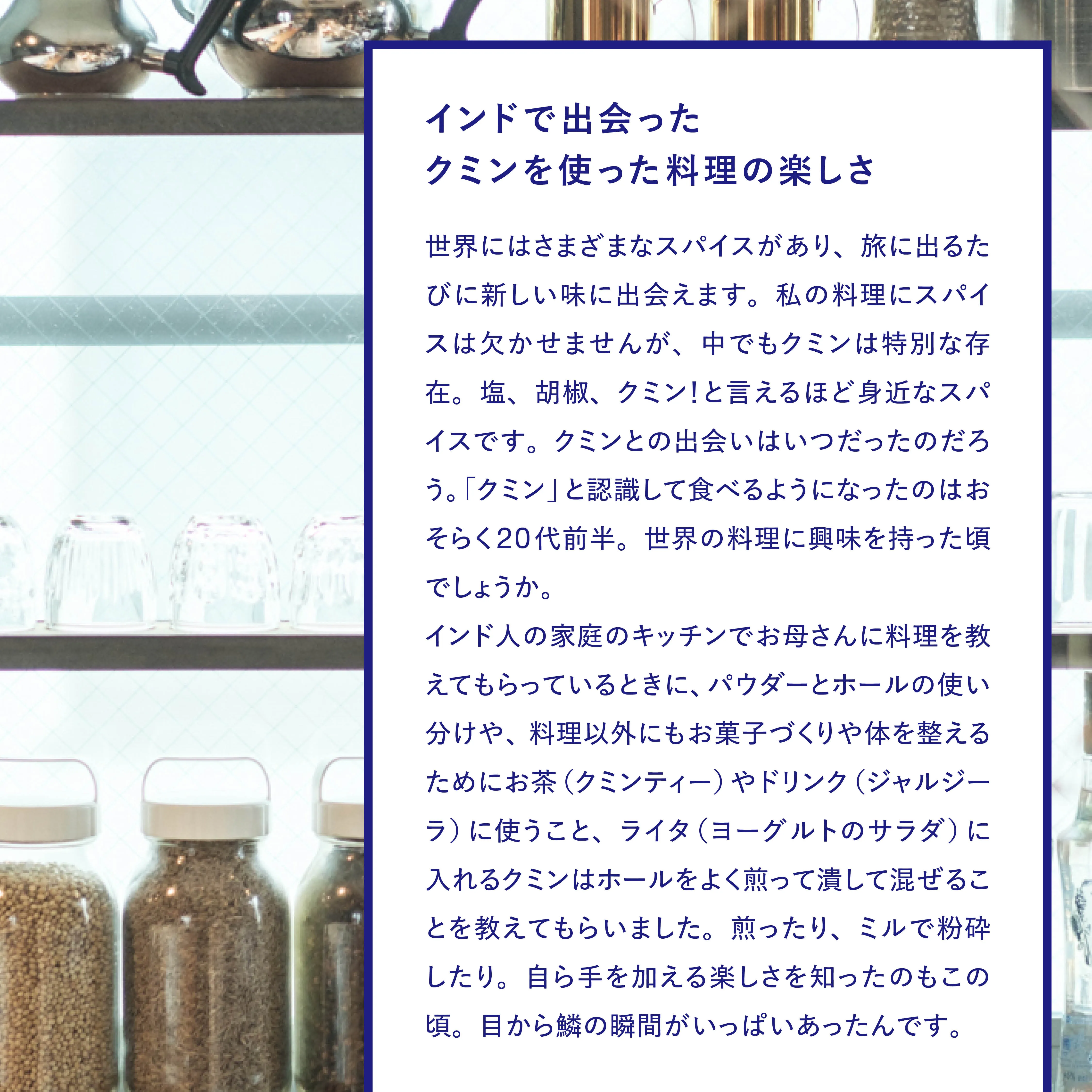 クミンの紹介1