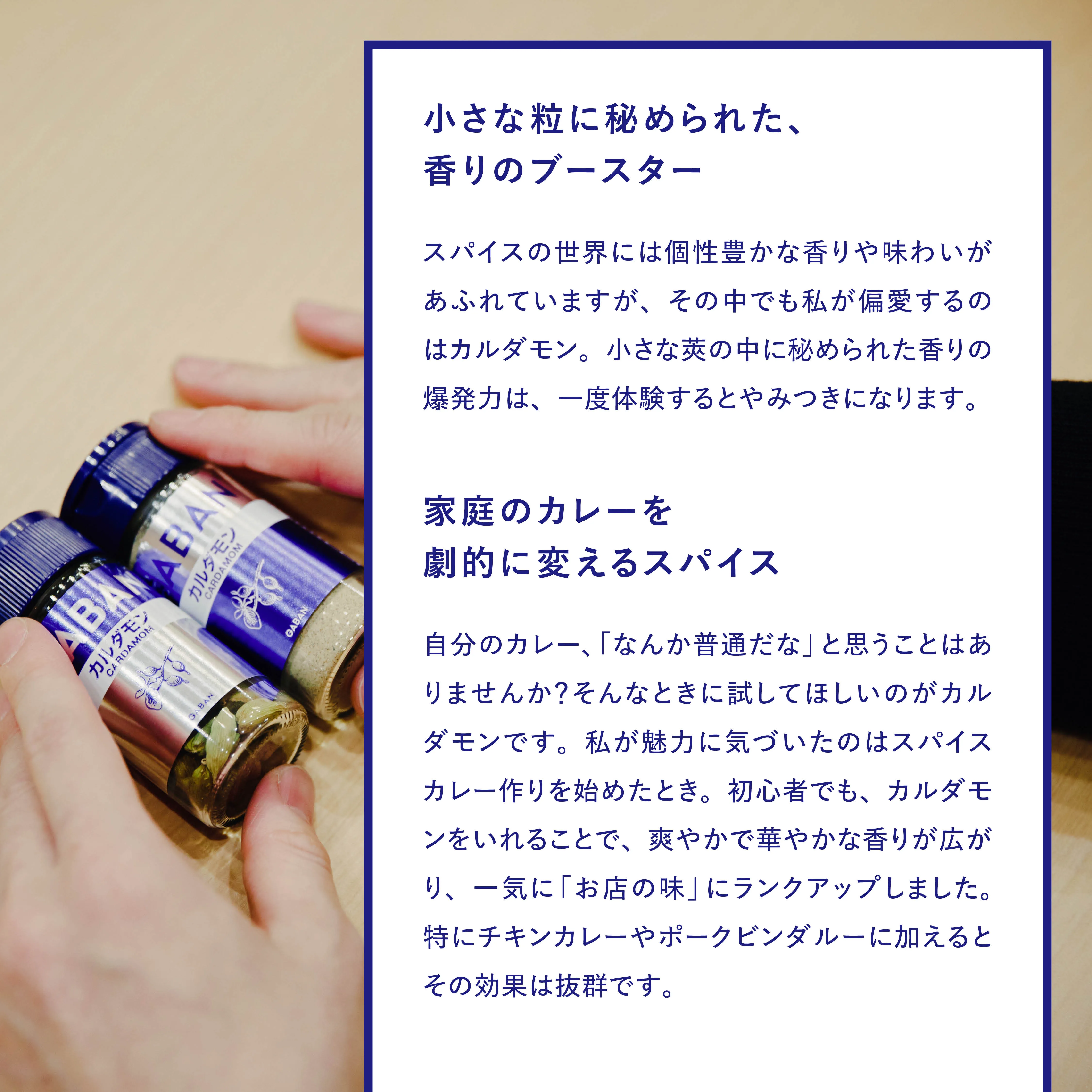 カルダモンの紹介1