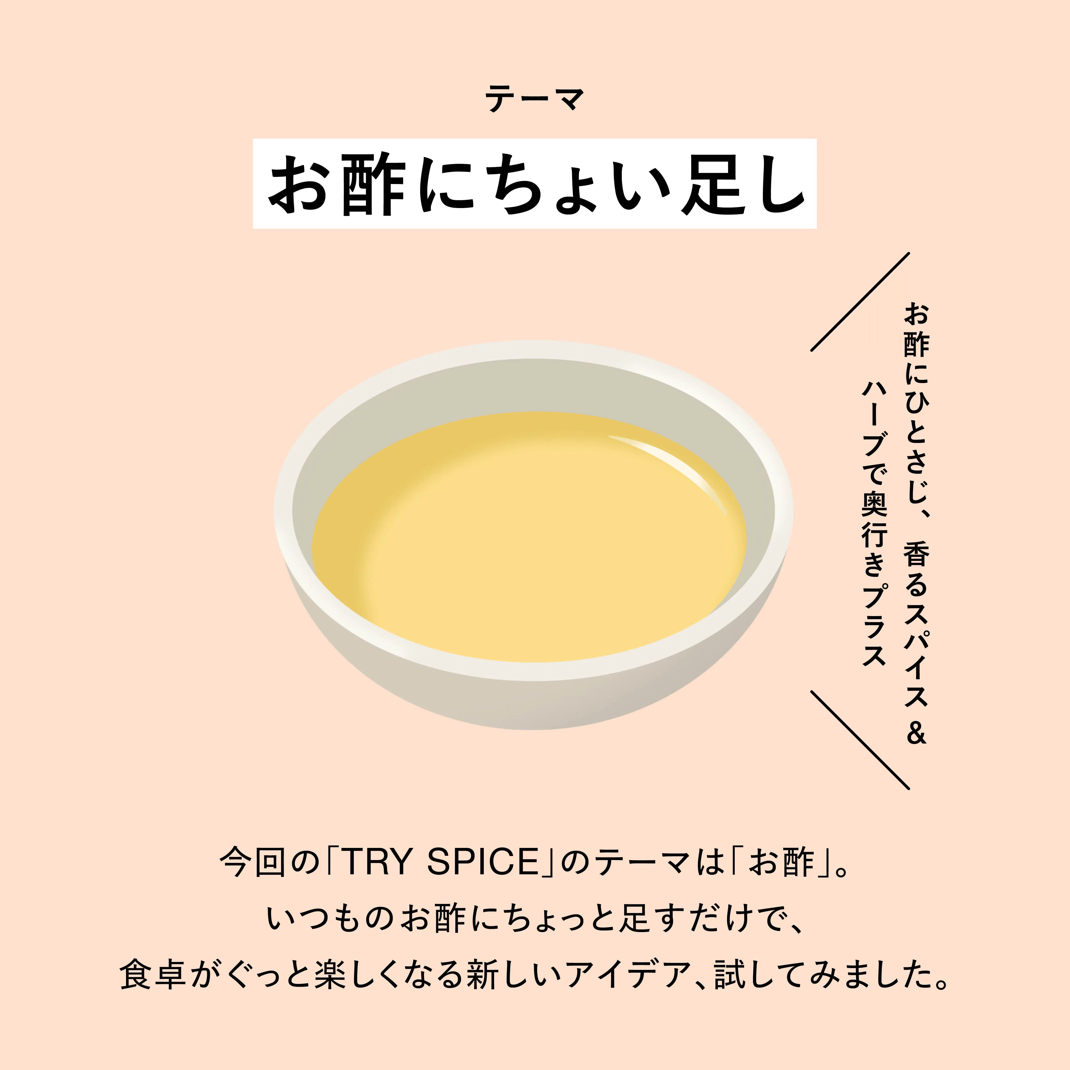 TRY SPICE VOL.2 メインビジュアル