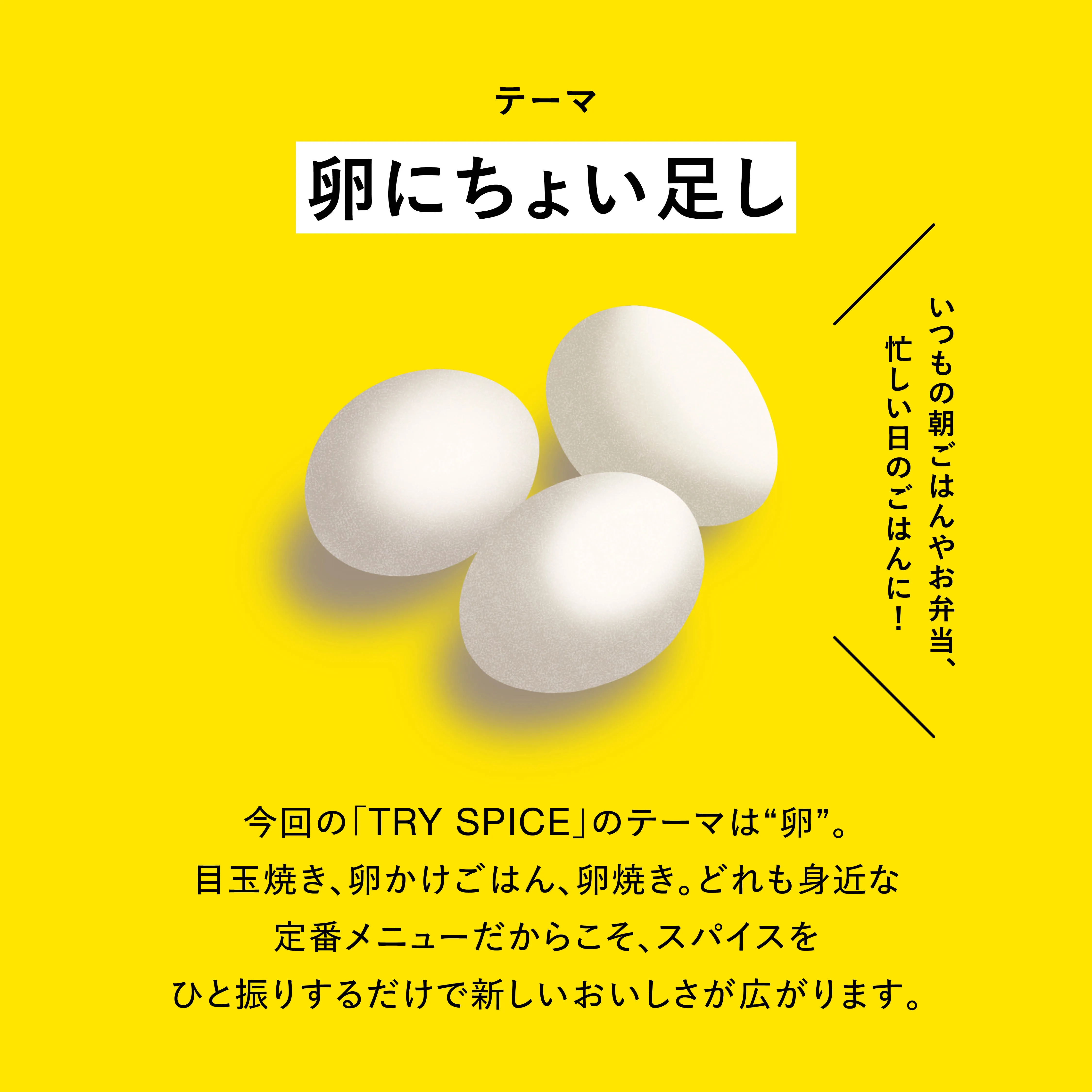 TRY SPICE VOL.4 メインビジュアル