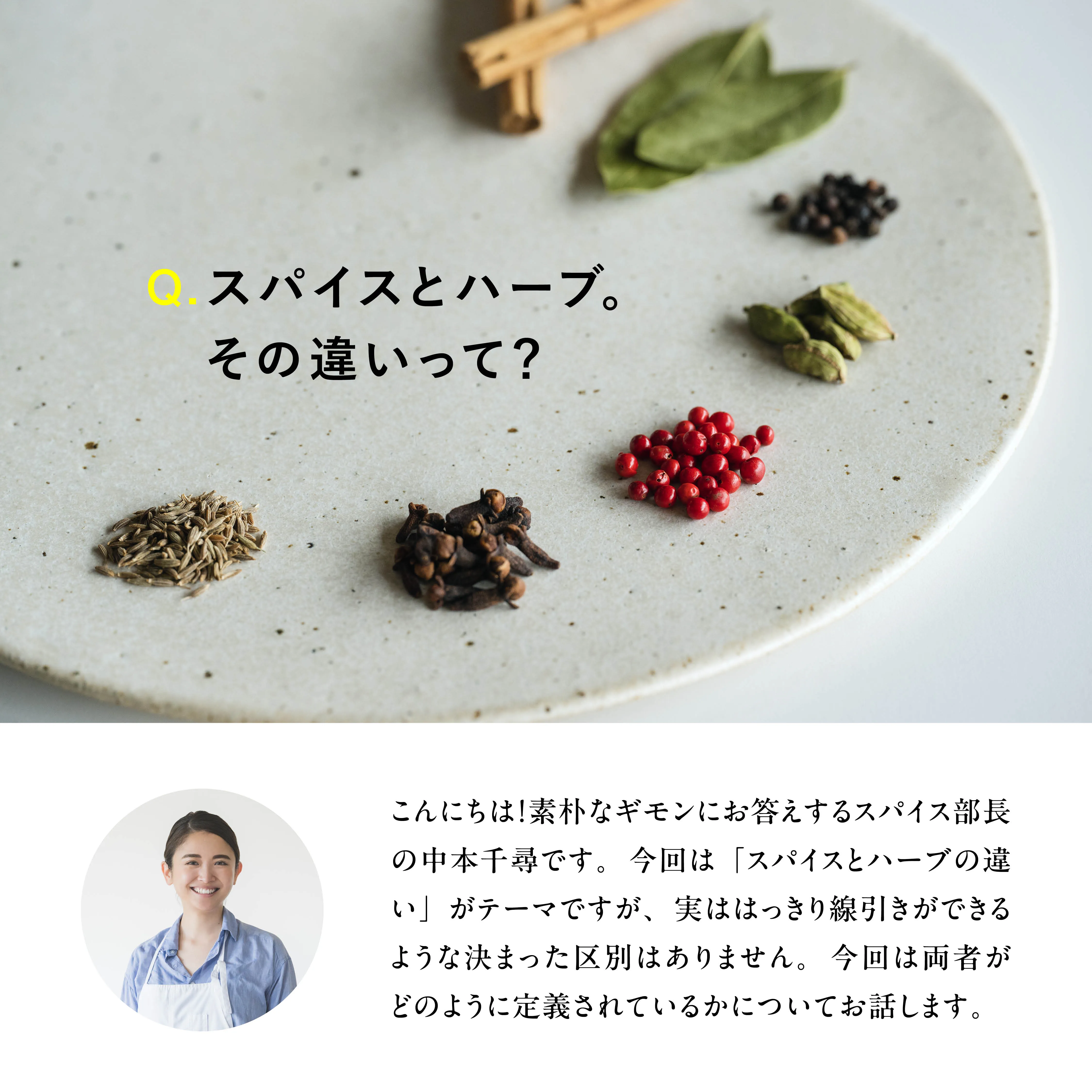 スパイスとハーブの違い