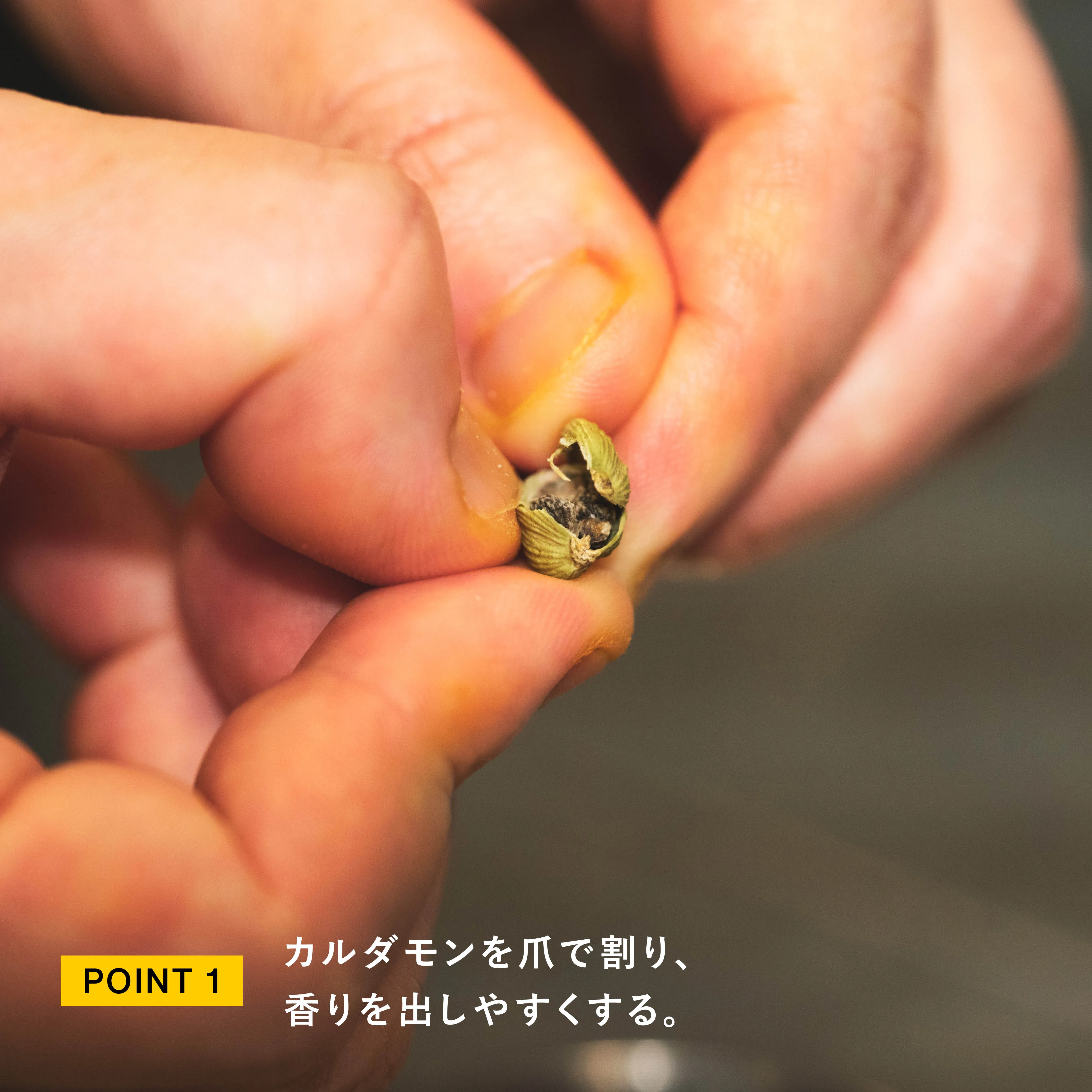 レシピのポイント1