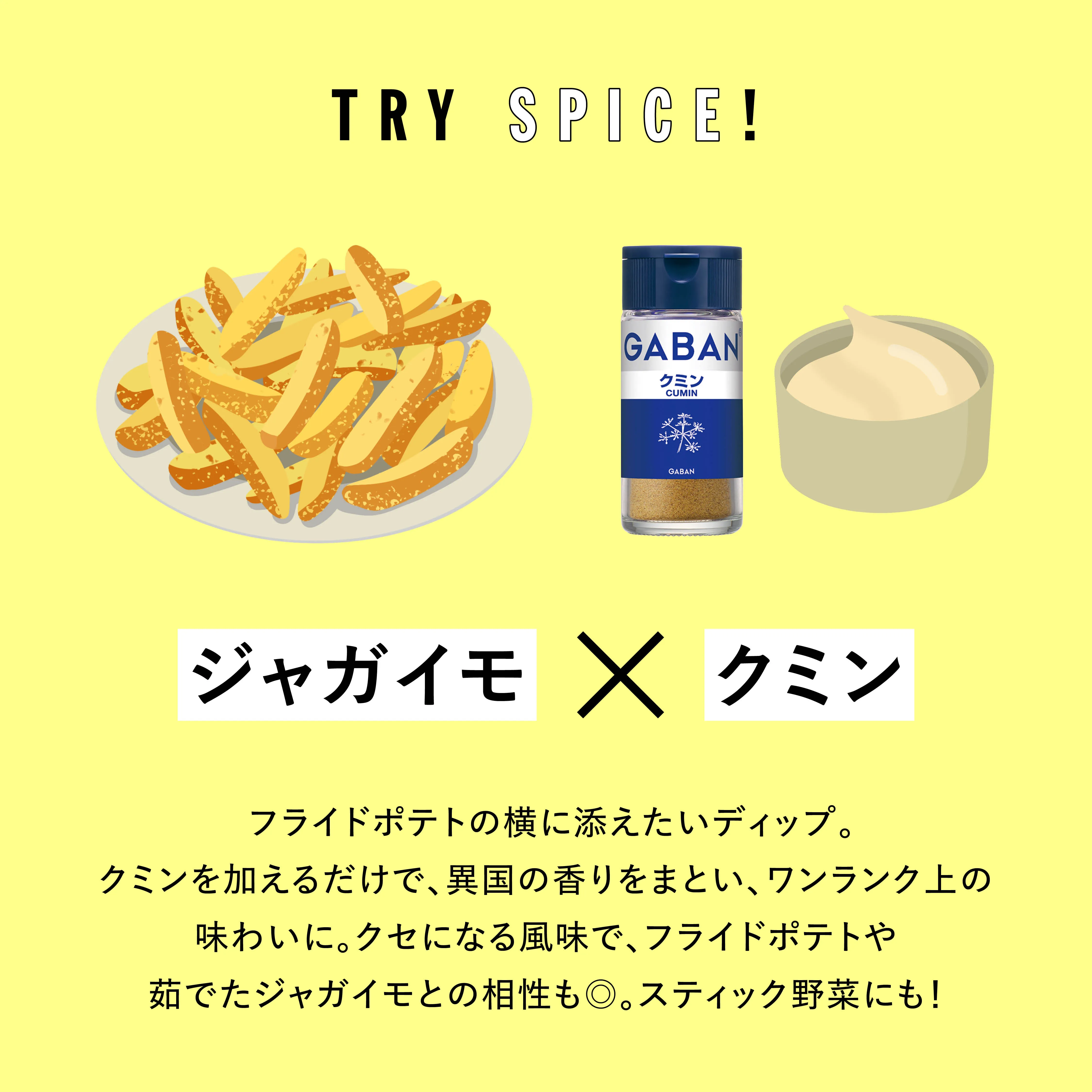 TRY SPICE VOL.1 実験写真1