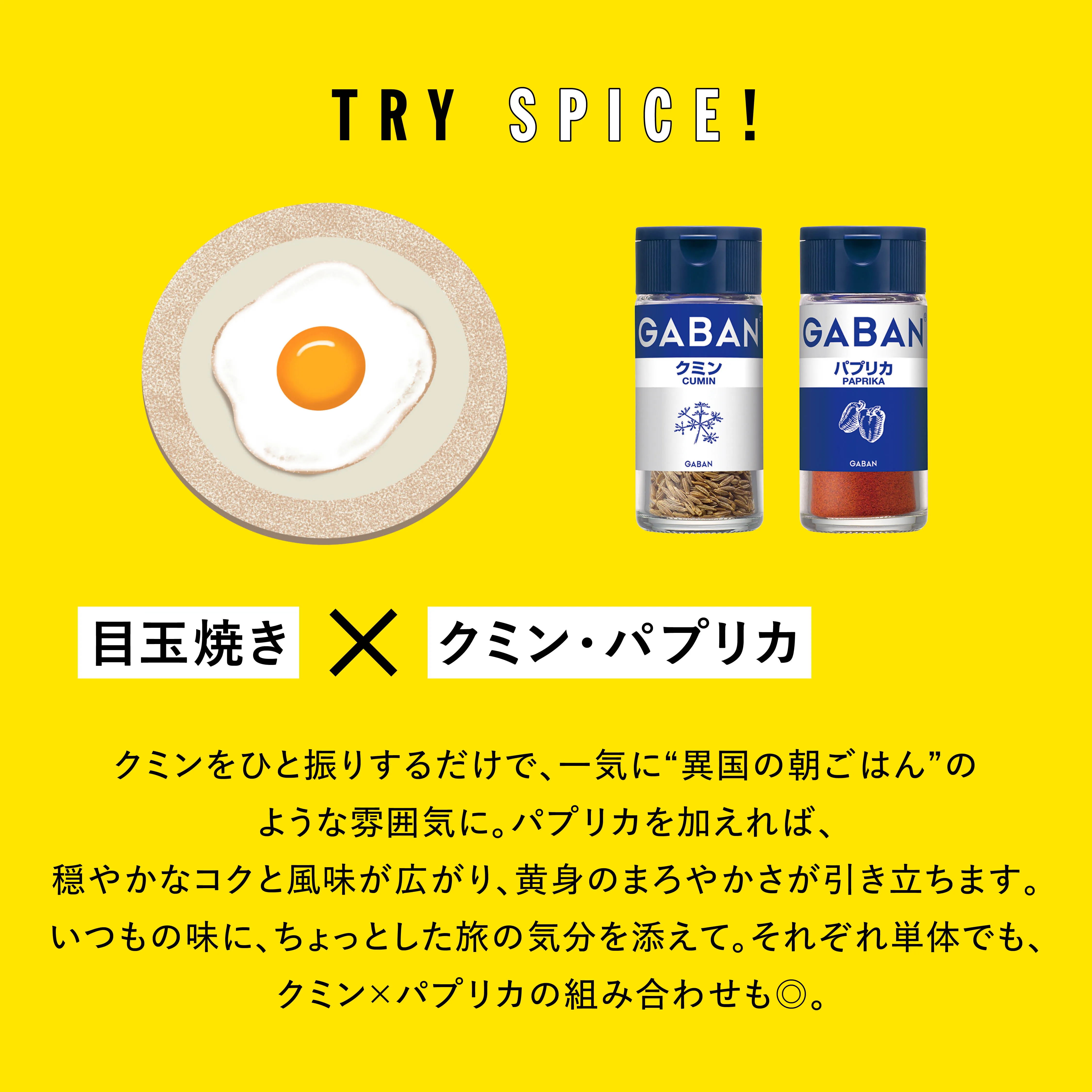 TRY SPICE VOL.4 実験写真1