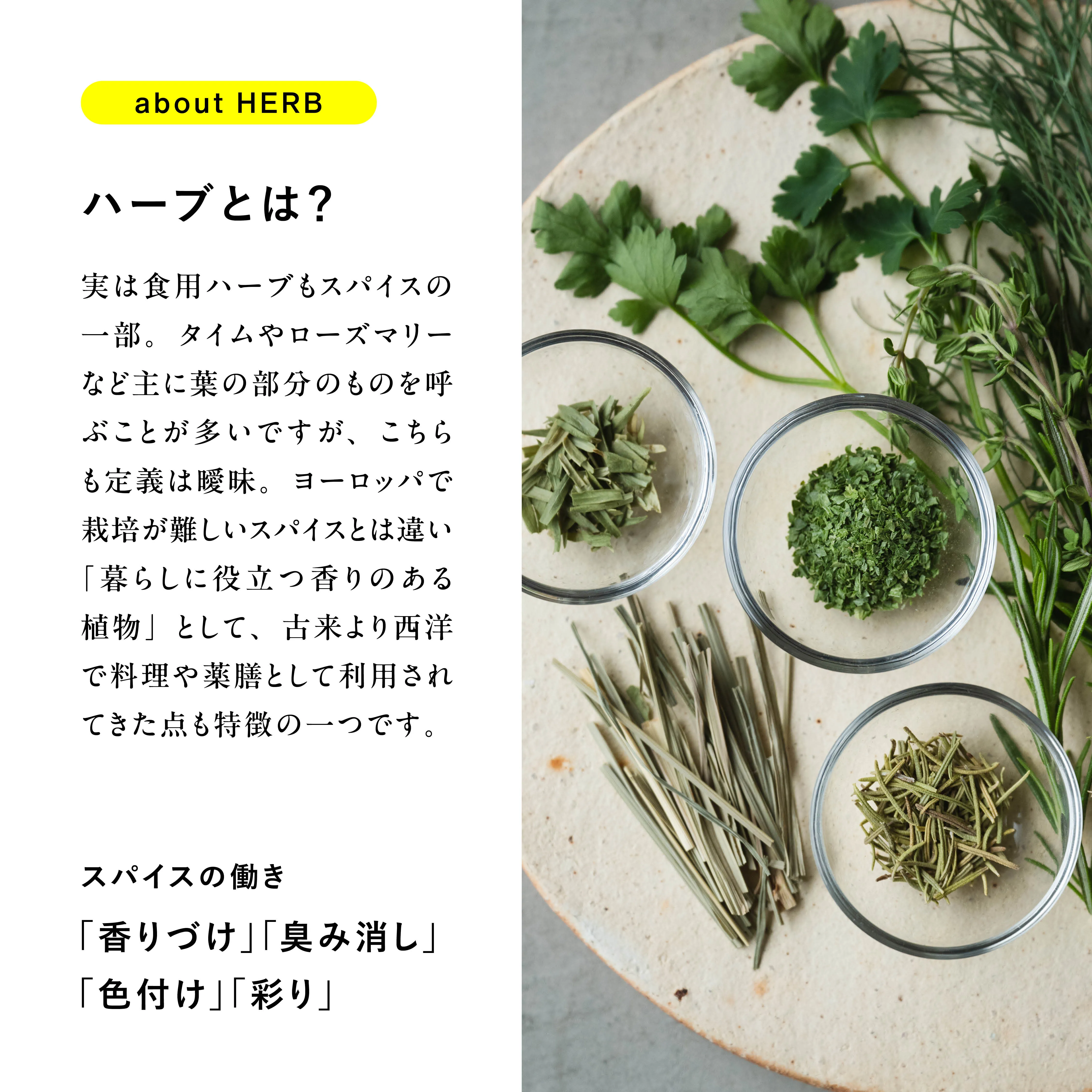 ハーブ