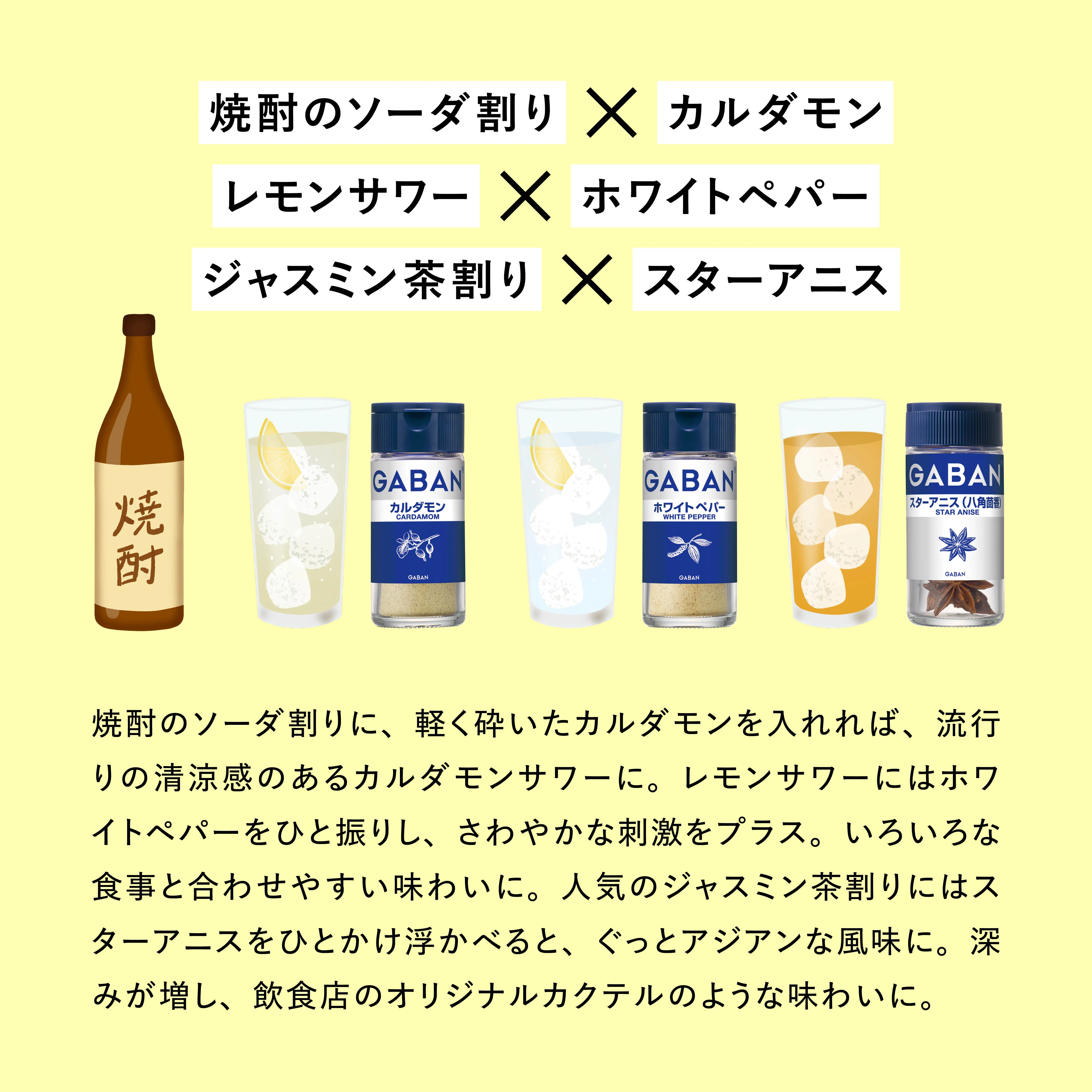 TRY SPICE VOL.6 お酒編 イメージ2