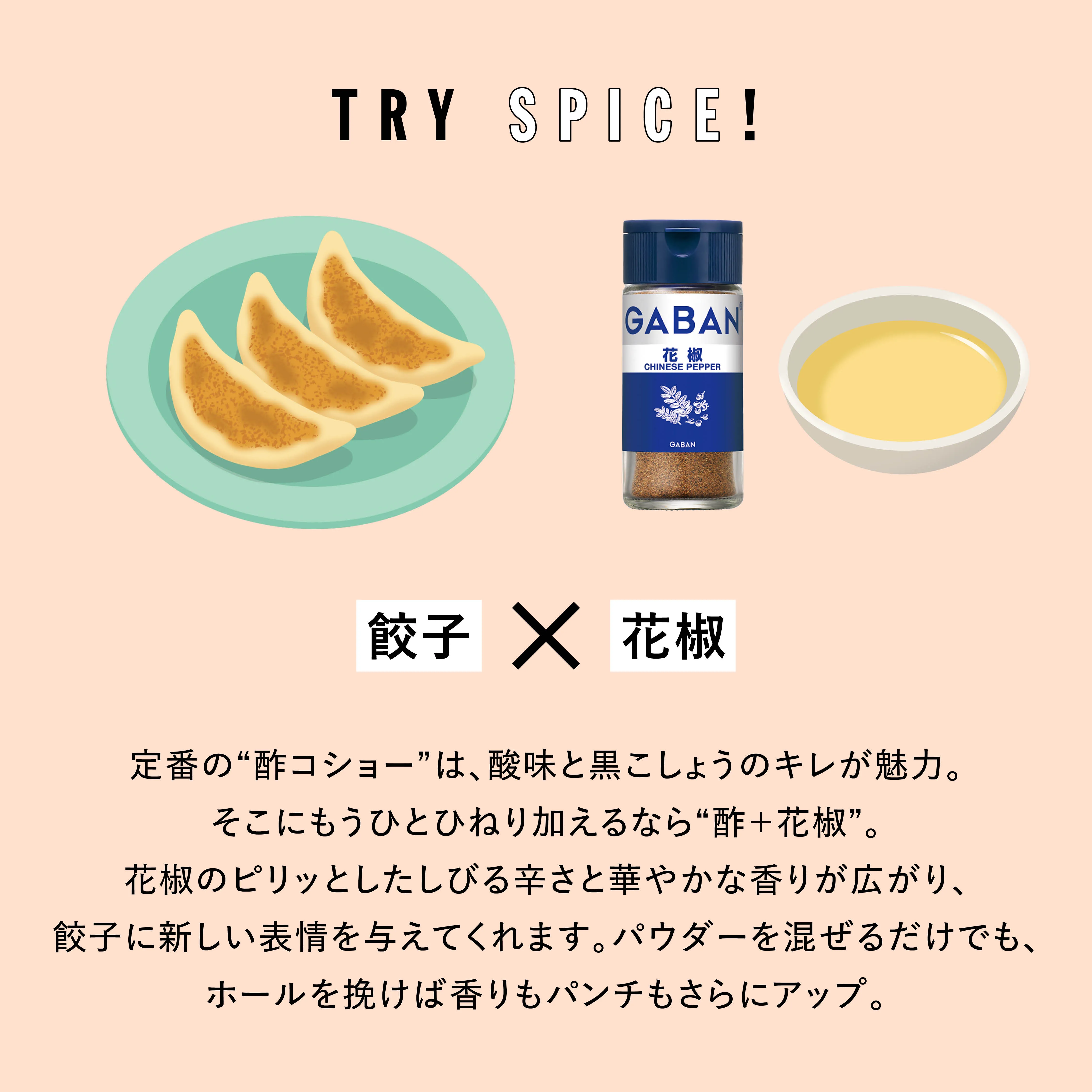 TRY SPICE VOL.2 実験写真2