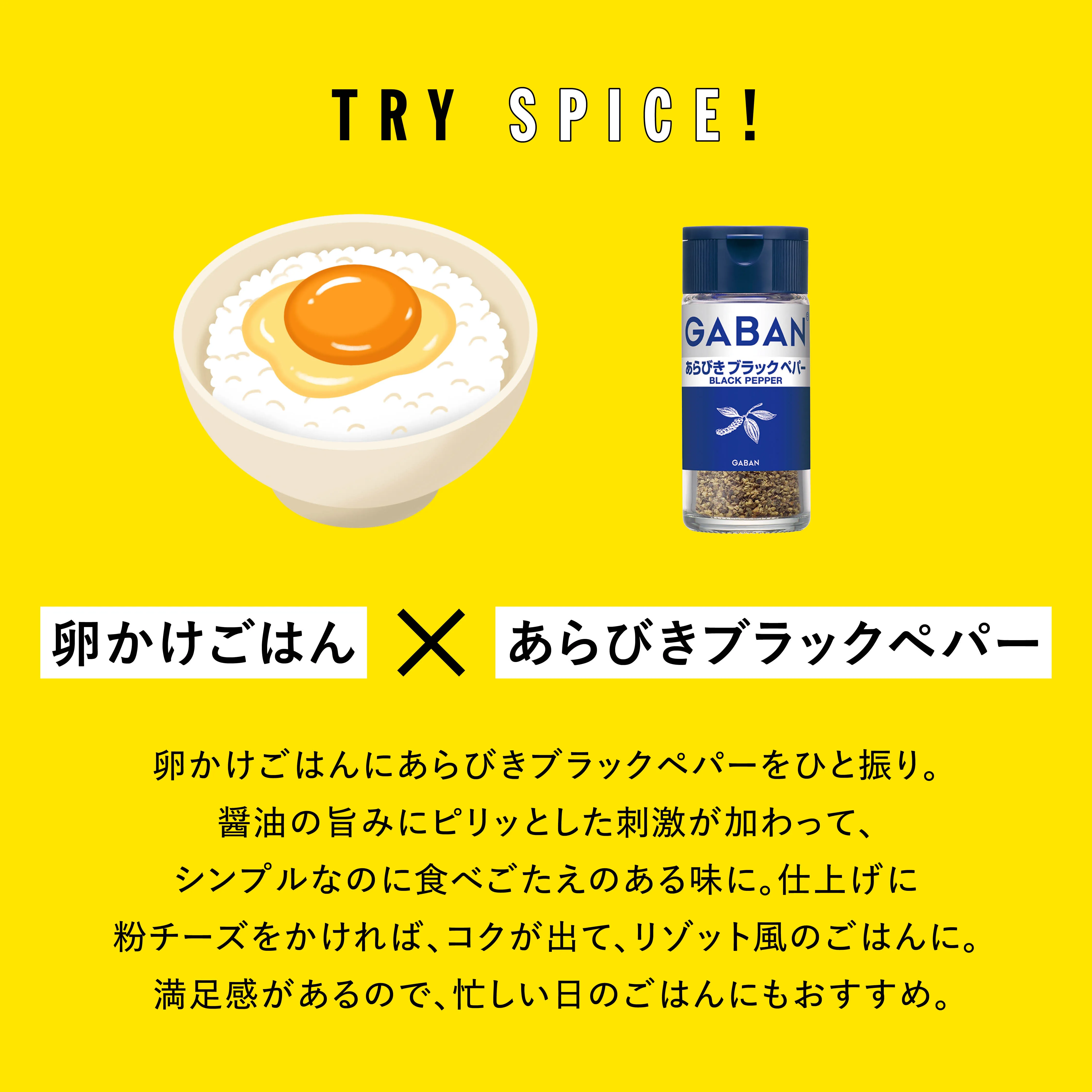TRY SPICE VOL.4 実験写真2