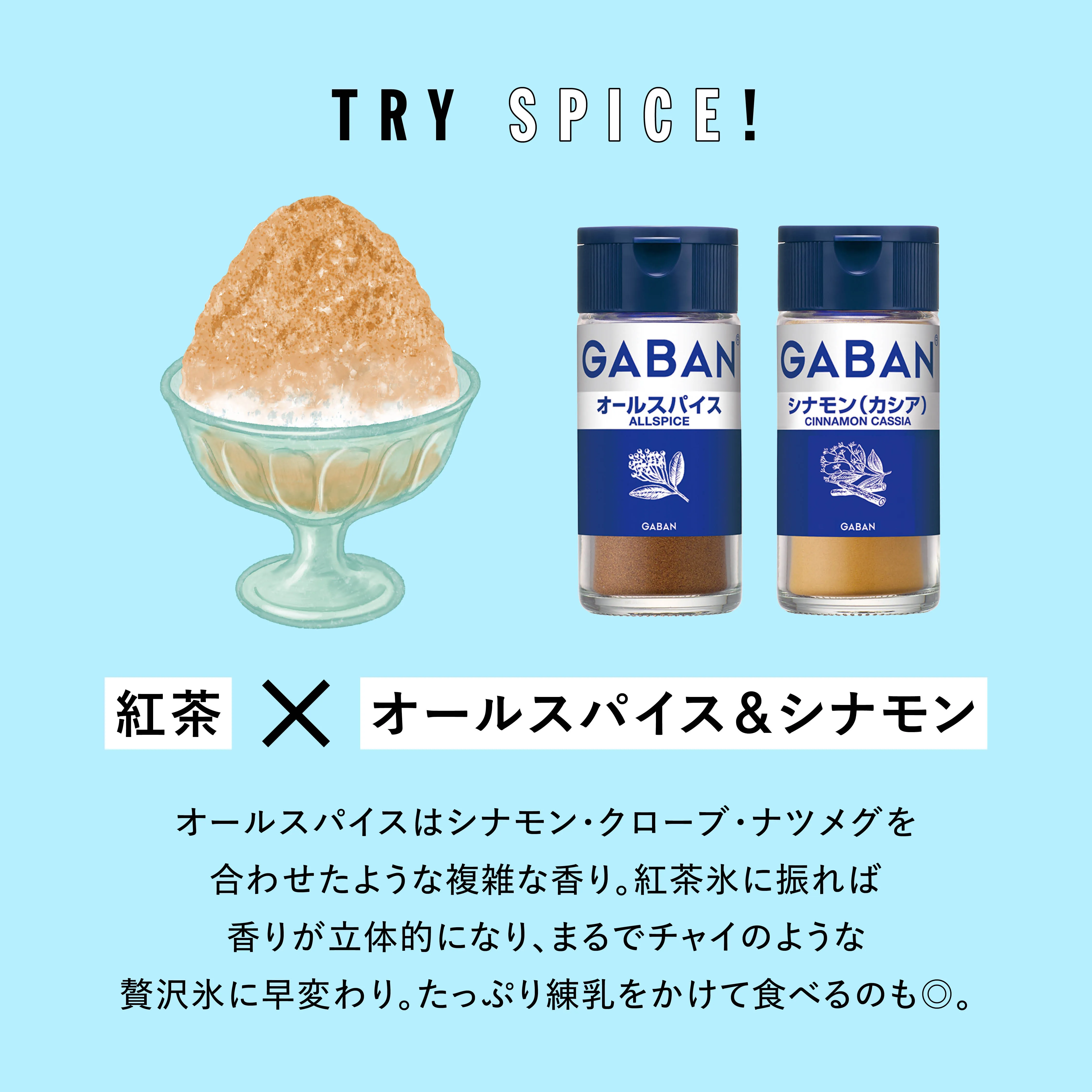 TRY SPICE VOL.5 かき氷レシピ2