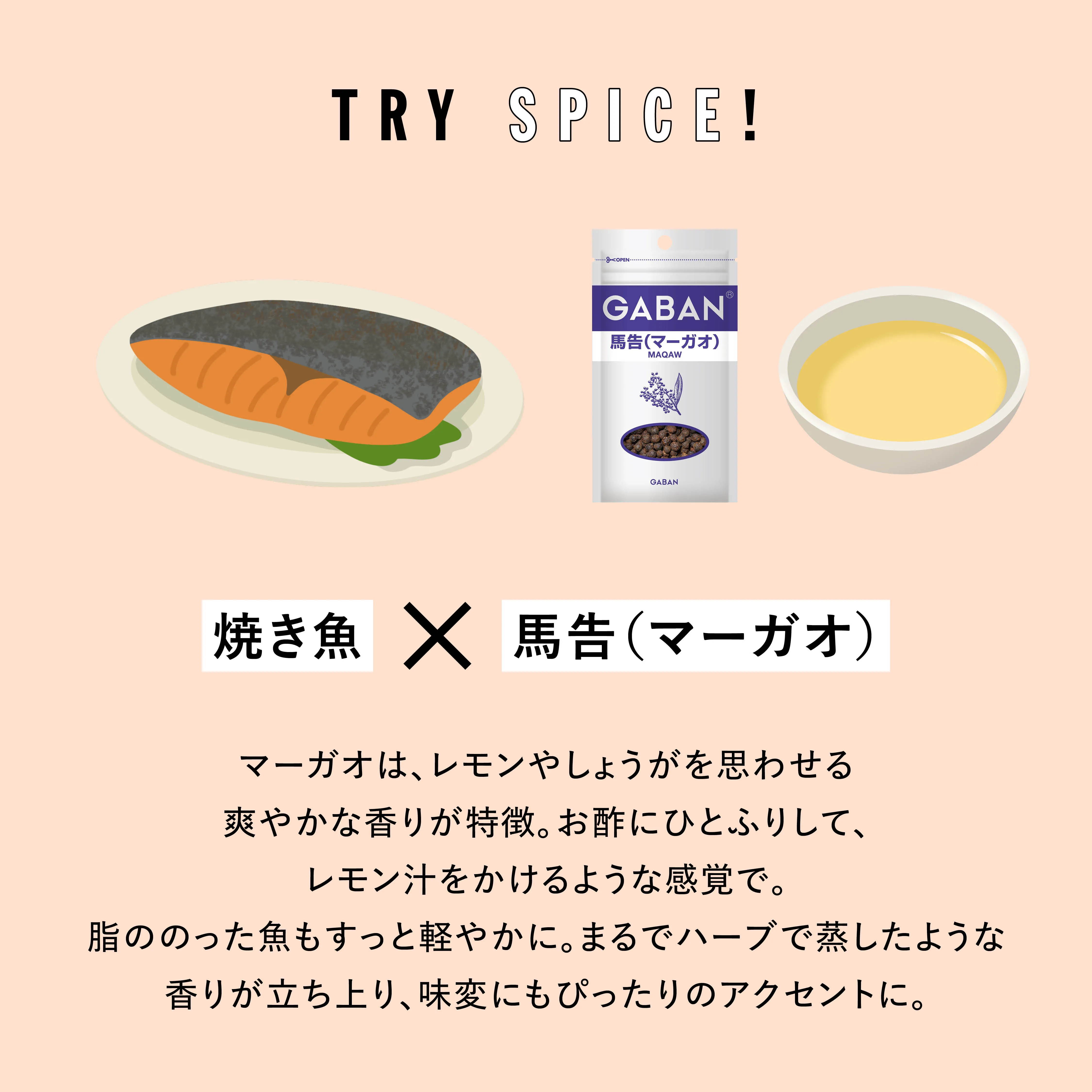 TRY SPICE VOL.2 実験写真3
