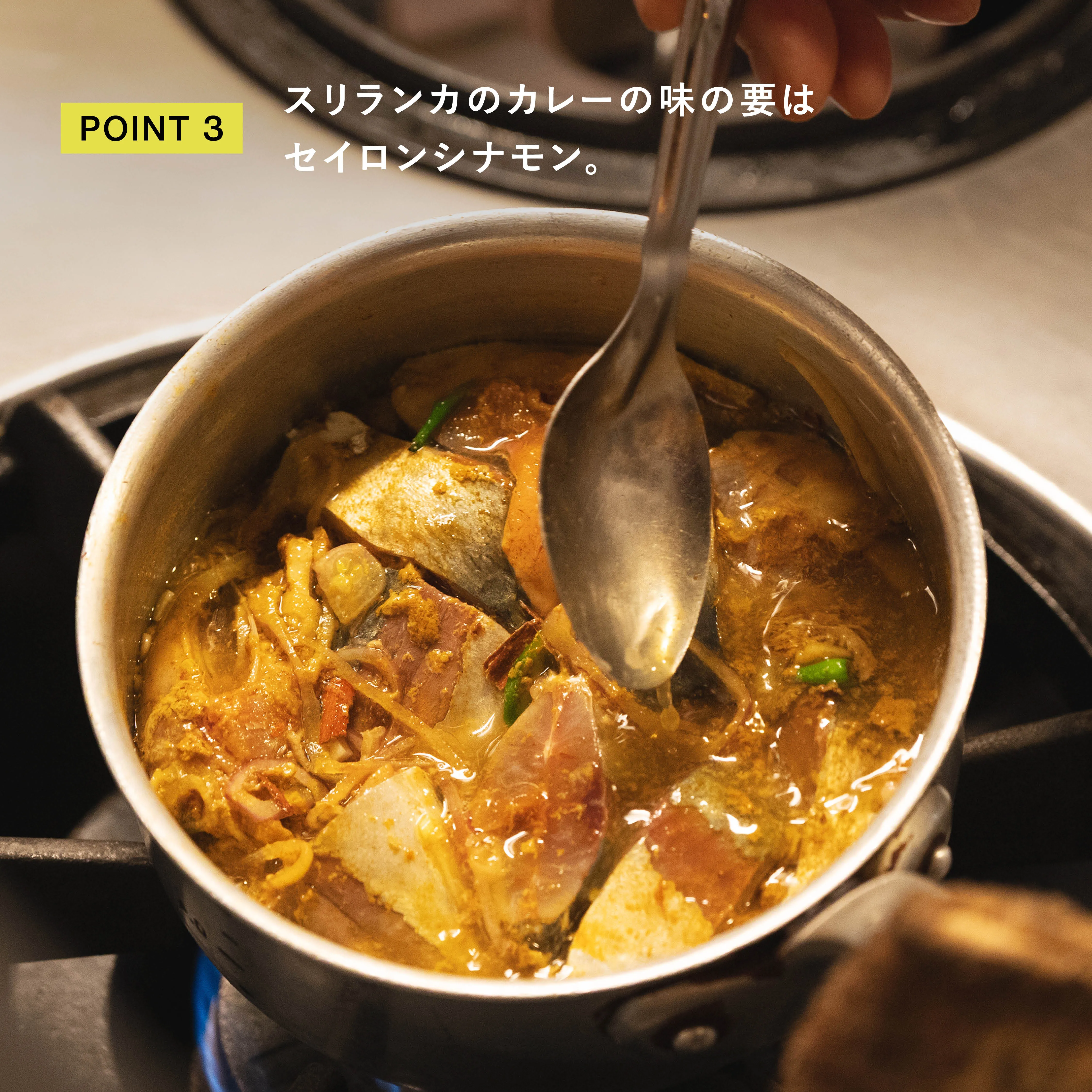 アジのスパイス煮 セイロンシナモンのポイント