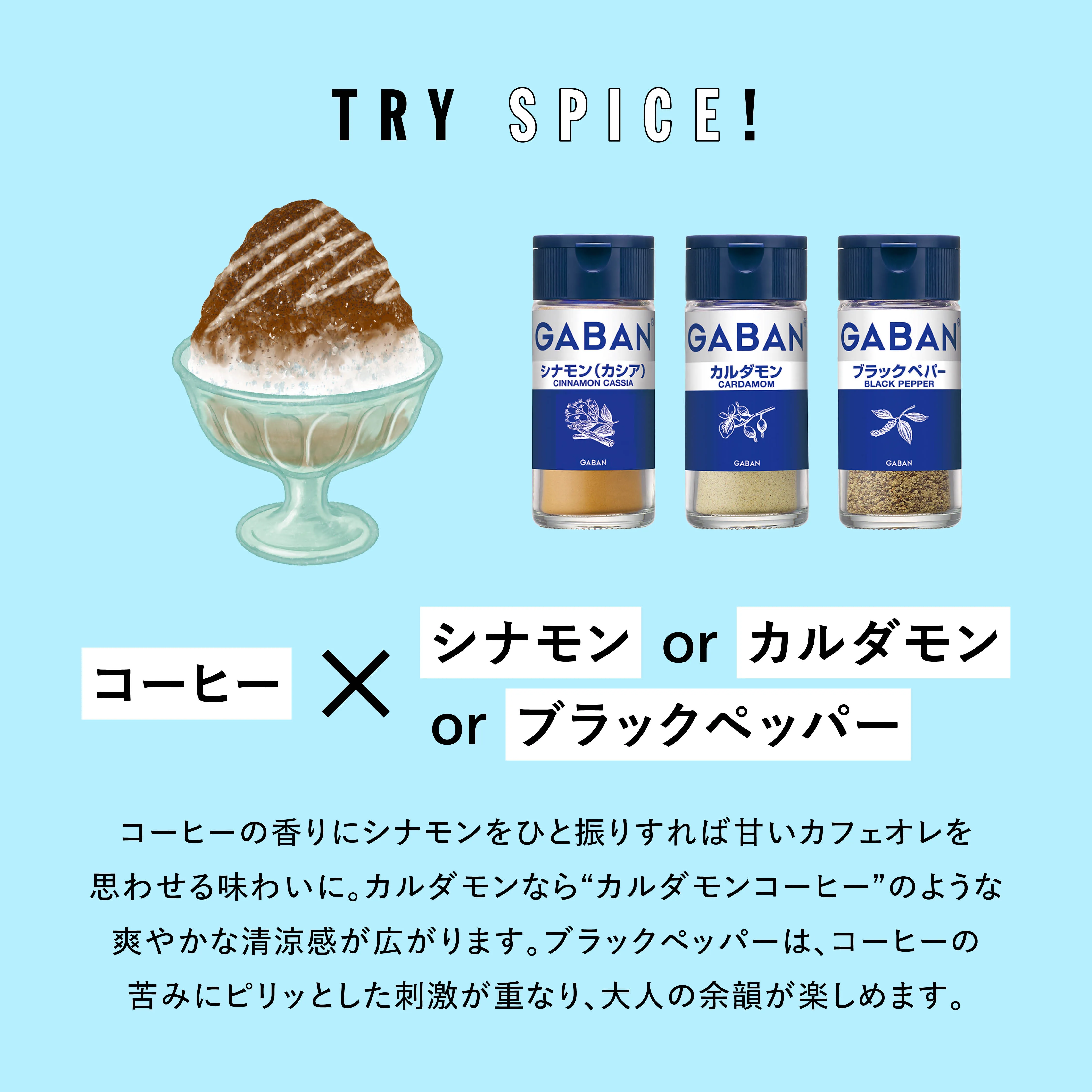 TRY SPICE VOL.5 かき氷レシピ3