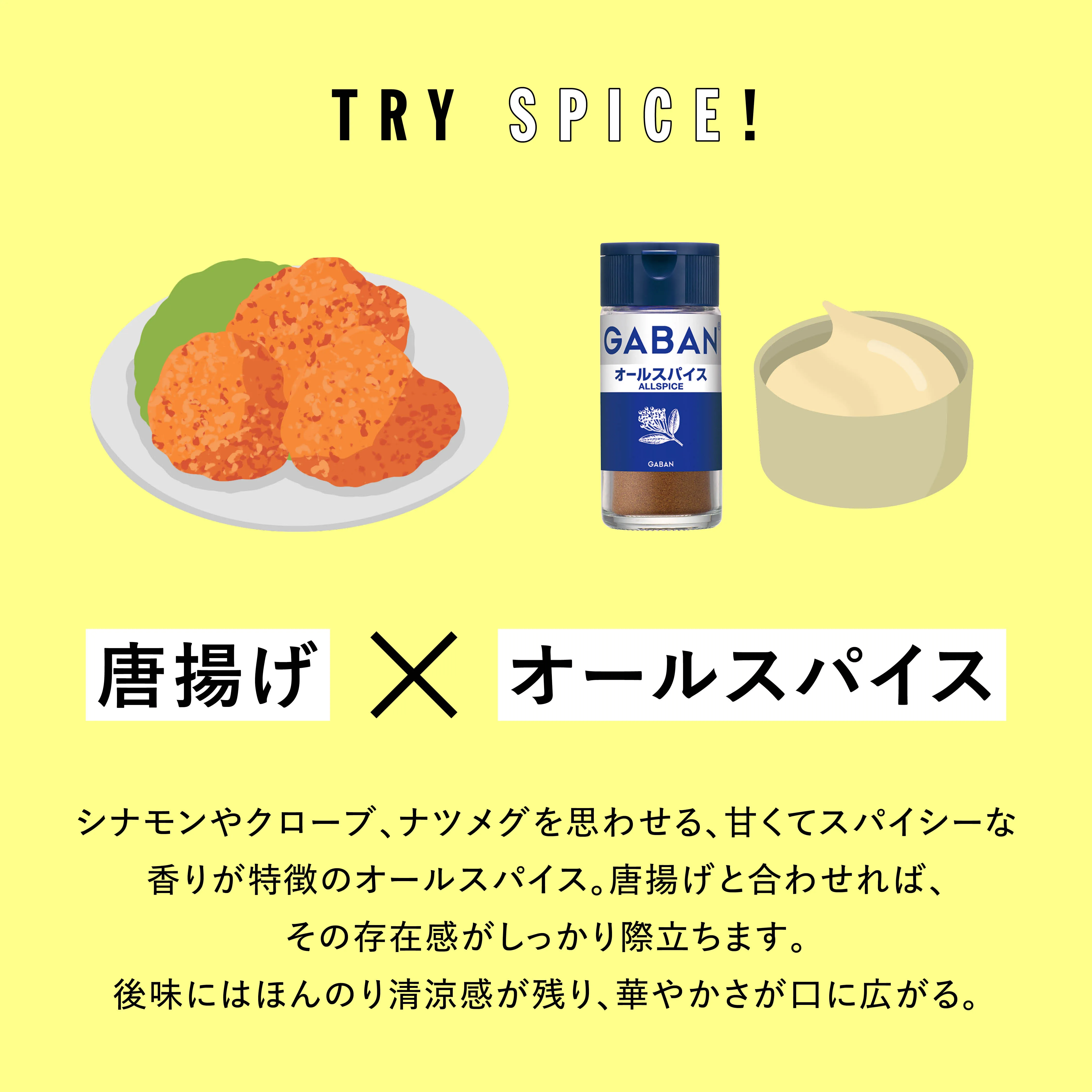 TRY SPICE VOL.1 実験写真3