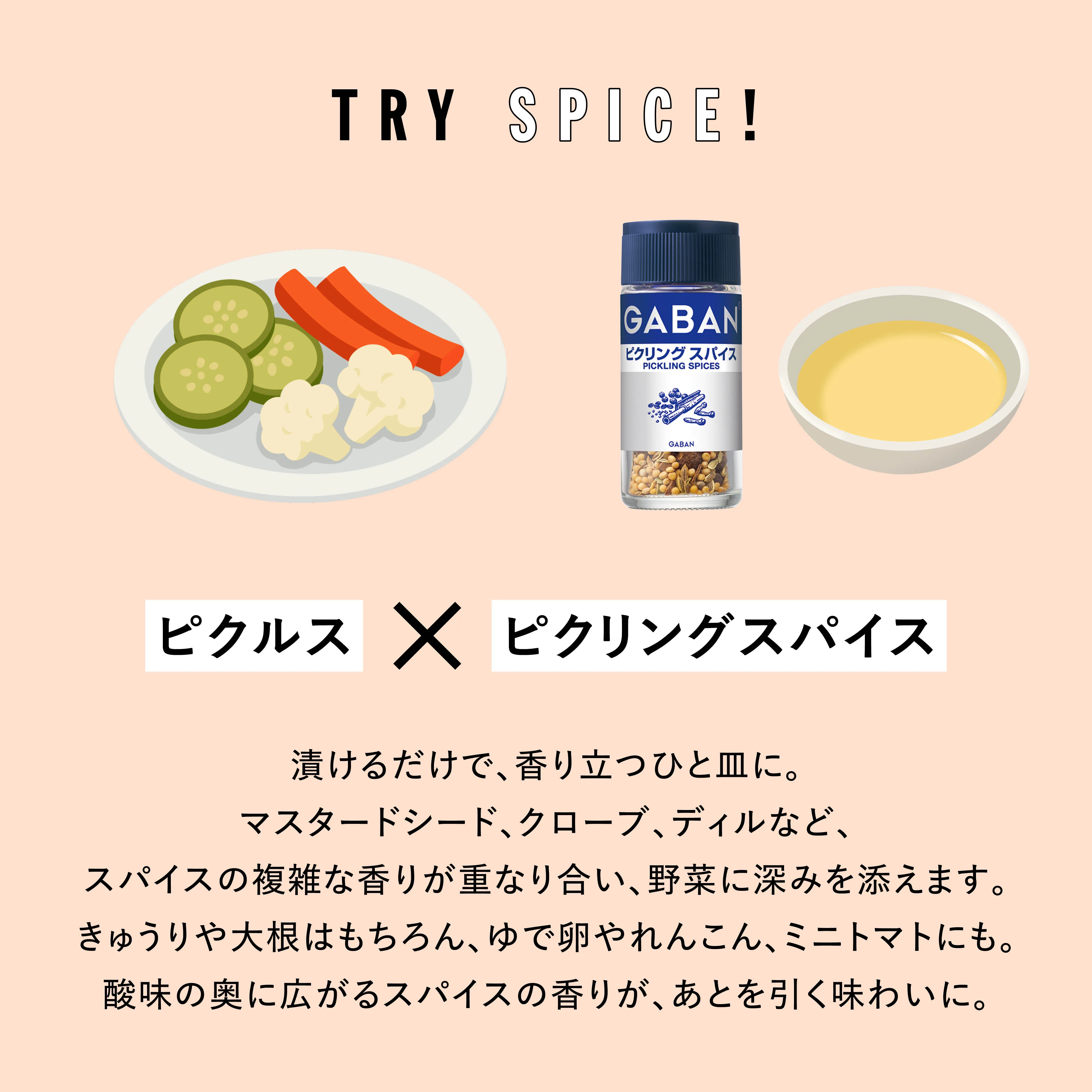 TRY SPICE VOL.2 実験写真4