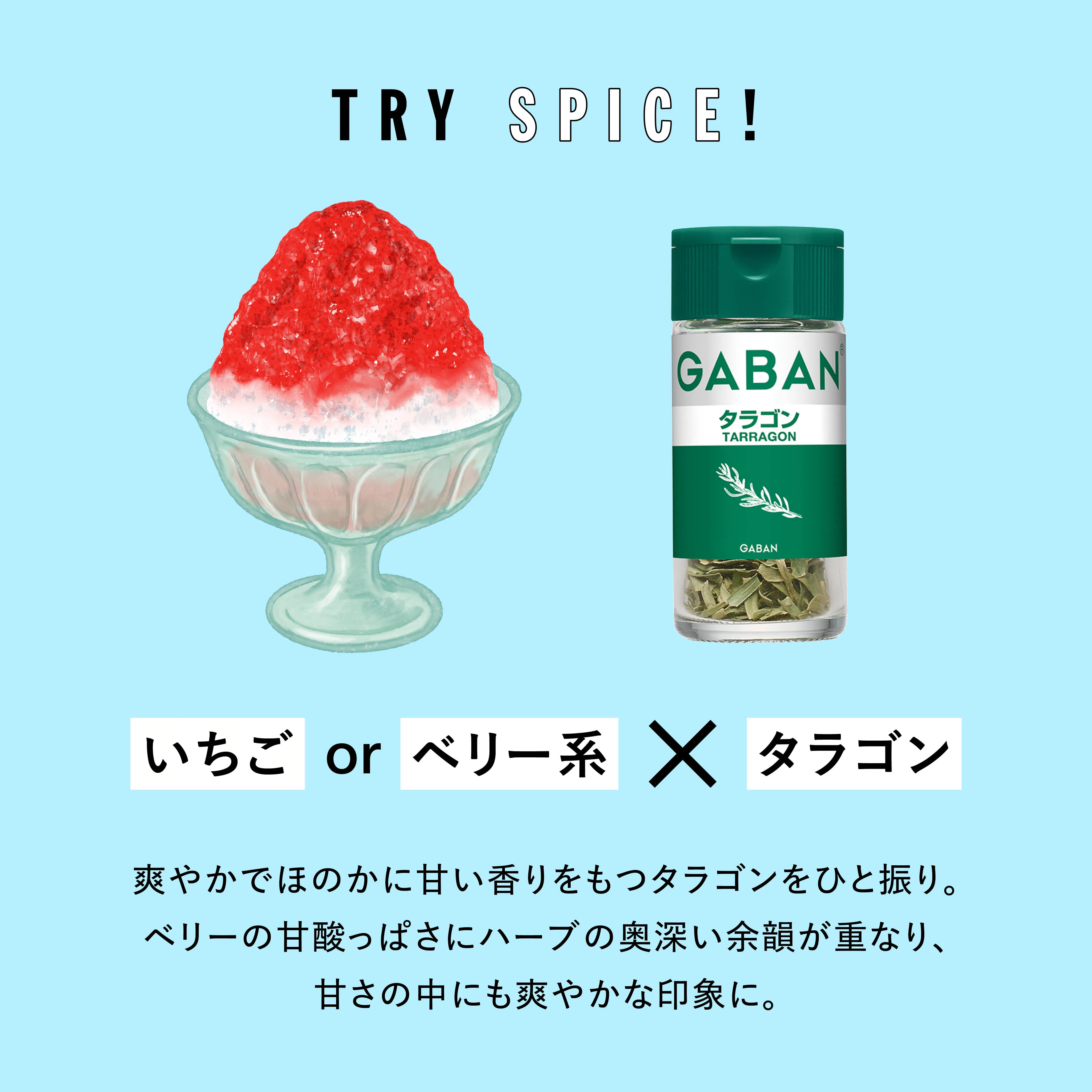 TRY SPICE VOL.5 かき氷レシピ4