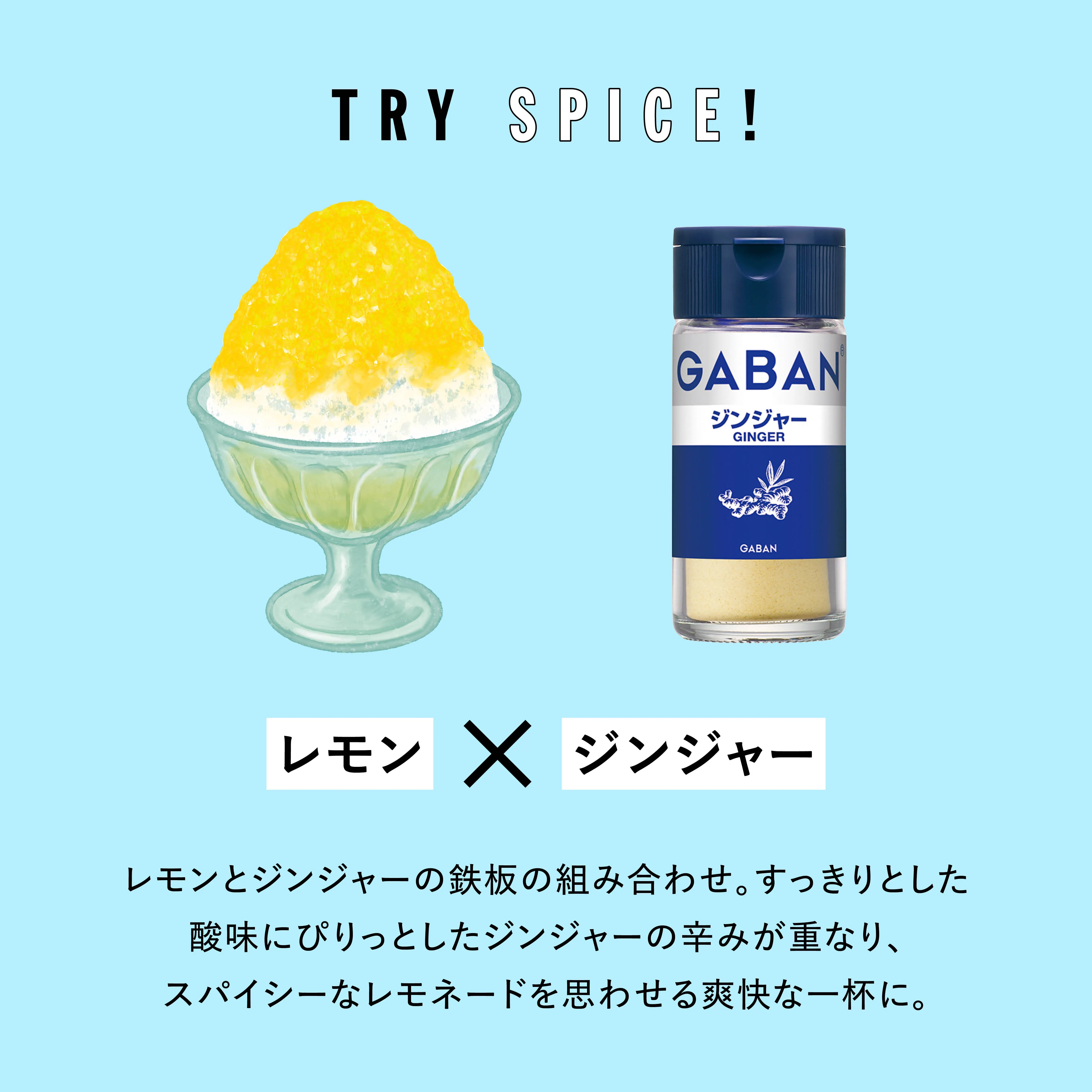 TRY SPICE VOL.5 かき氷レシピ5