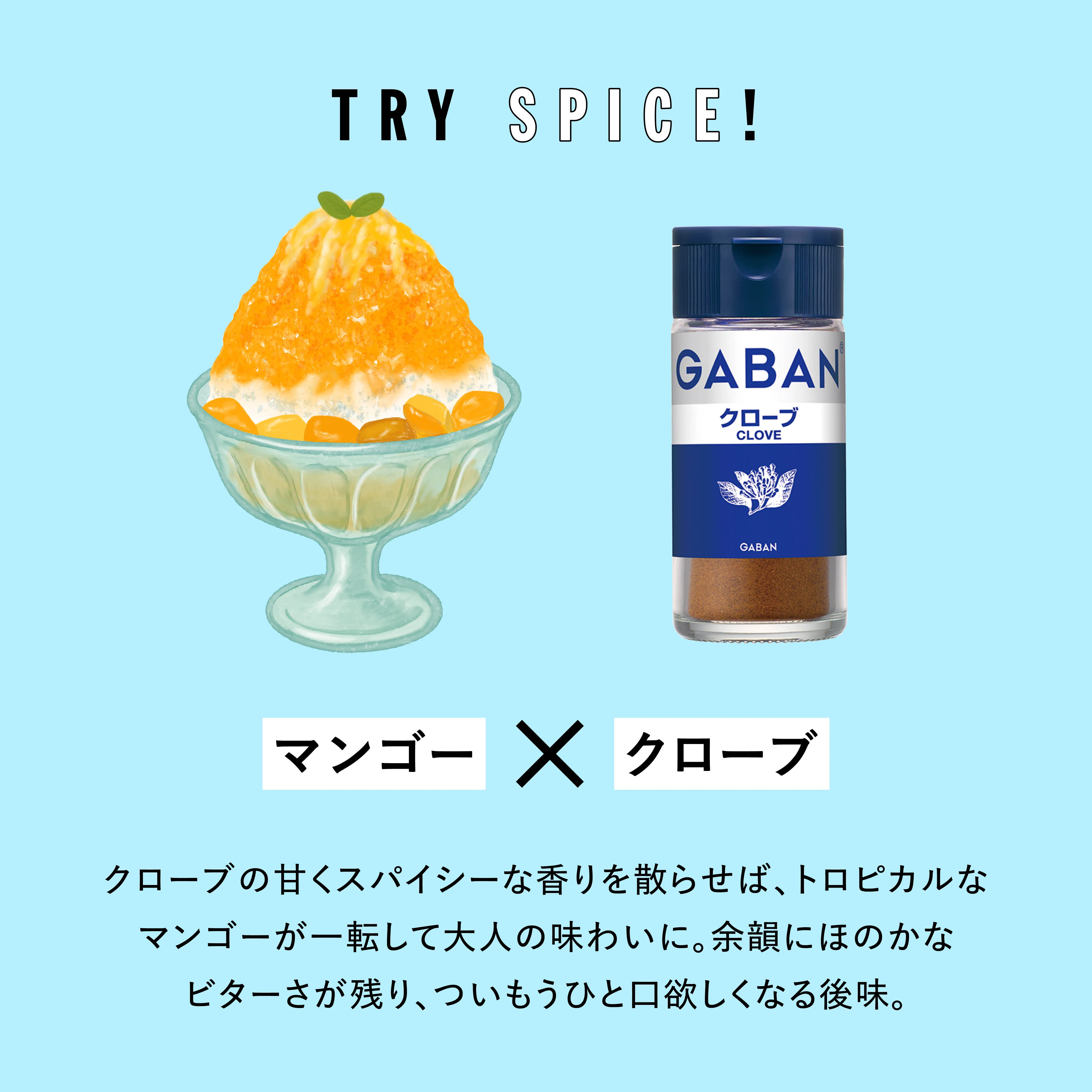TRY SPICE VOL.5 かき氷レシピ6
